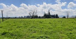 Finca en Venta