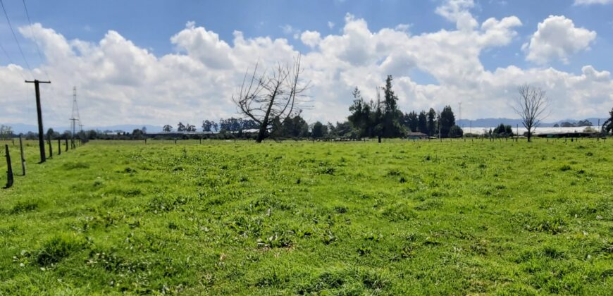 Finca en Venta