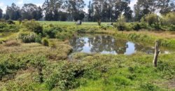 Finca en Venta