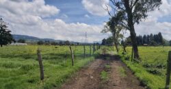 Finca en Venta