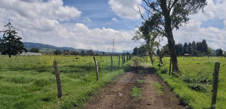Finca en Venta