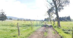 Finca en Venta