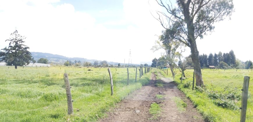 Finca en Venta