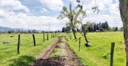 Finca en Venta
