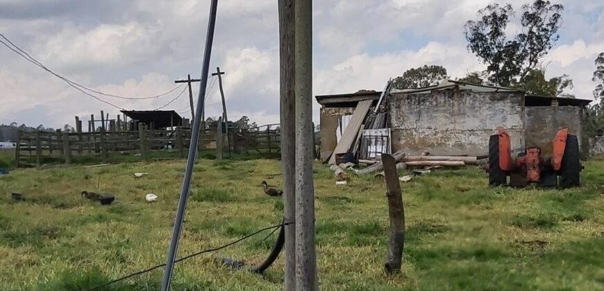 Finca en Venta
