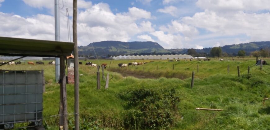 Finca en Venta