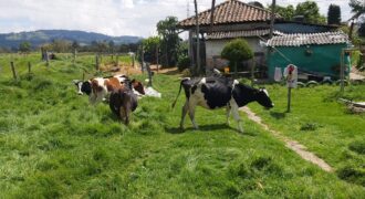 Finca en Venta