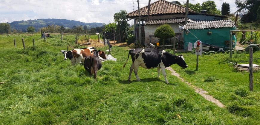 Finca en Venta