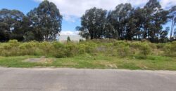Cota ( Siberia) Lotes Industriales en venta – desde  1291 m2 o mas