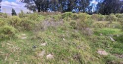 Cota ( Siberia) Lotes Industriales en venta – desde  1291 m2 o mas