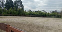Mosquera -Finca- con pesebreras- club -26793 m2