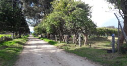 Funza, finca de 7.97 fng -51.000 m2- vereda la isla
