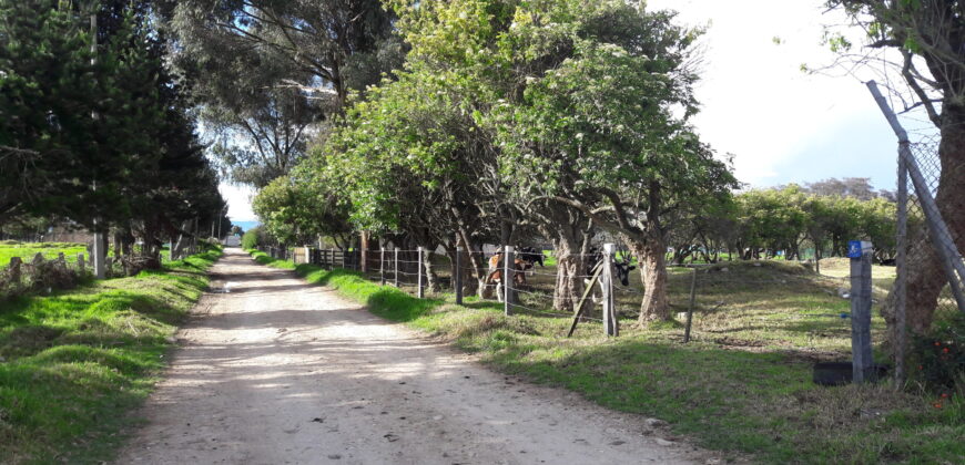 Funza, finca de 7.97 fng -51.000 m2- vereda la isla