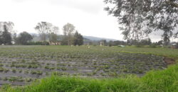 Facatativa, finca 50 fng – vereda San Rafael-aguas