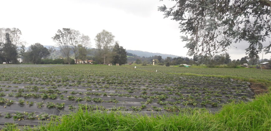 Facatativa, finca 50 fng – vereda San Rafael-aguas