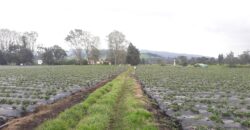 Facatativa, finca 50 fng – vereda San Rafael-aguas