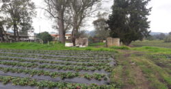 Facatativa, finca 50 fng – vereda San Rafael-aguas