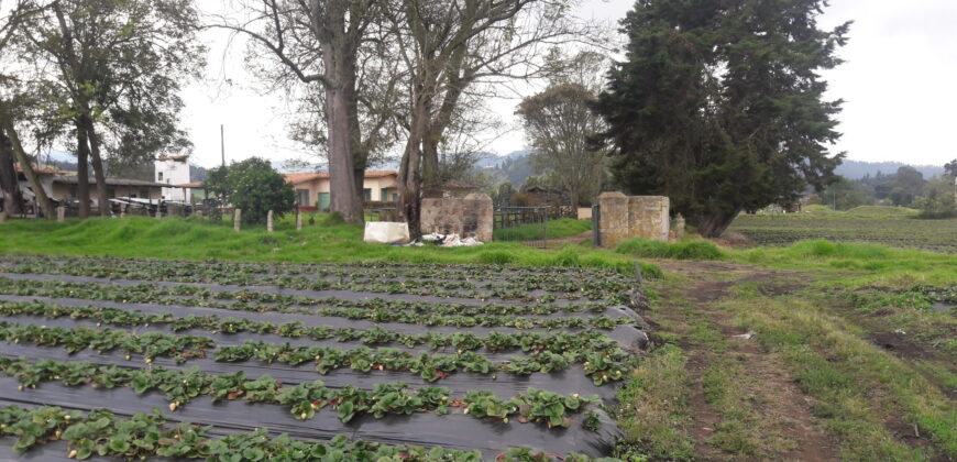 Facatativa, finca 50 fng – vereda San Rafael-aguas