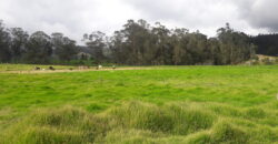 Facatativa, finca 50 fng – vereda San Rafael-aguas