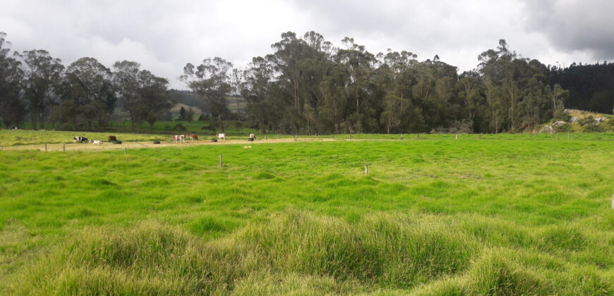 Facatativa, finca 50 fng – vereda San Rafael-aguas