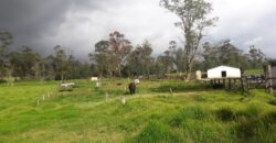 Facatativa, finca 50 fng – vereda San Rafael-aguas