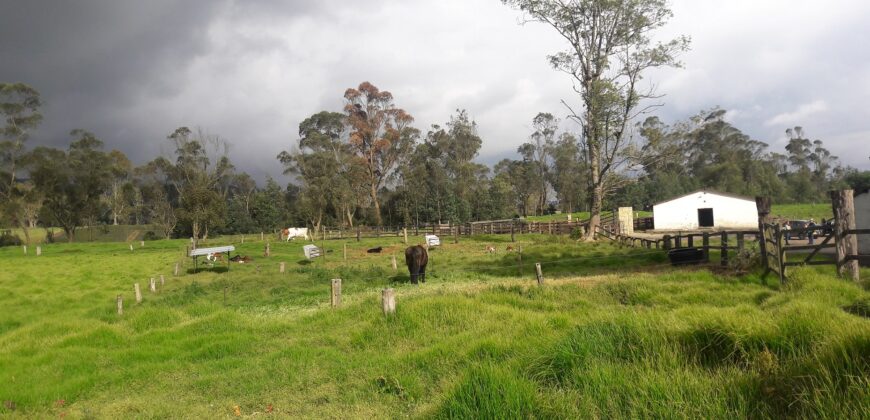 Facatativa, finca 50 fng – vereda San Rafael-aguas