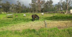 Facatativa, finca 50 fng – vereda San Rafael-aguas