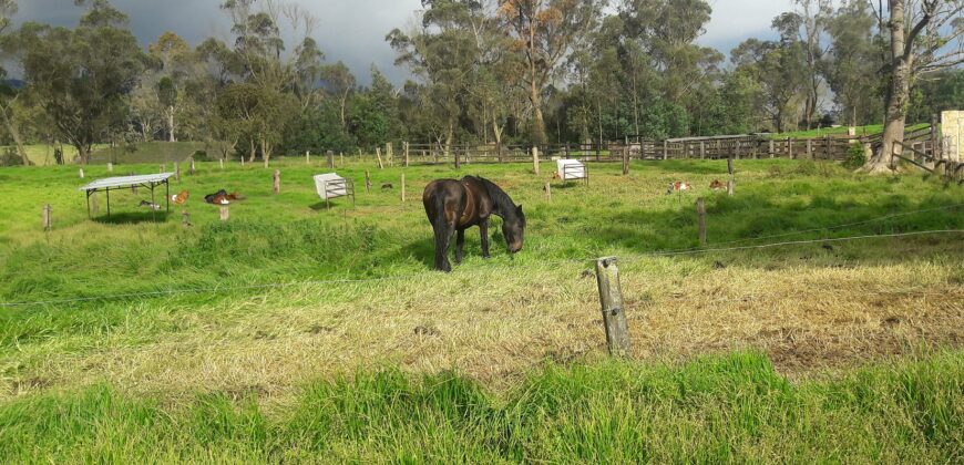 Facatativa, finca 50 fng – vereda San Rafael-aguas