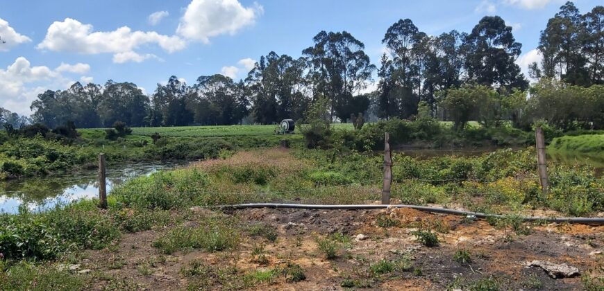 Facatativa (4 esquinas) finca de 49 fng- 8 lagos