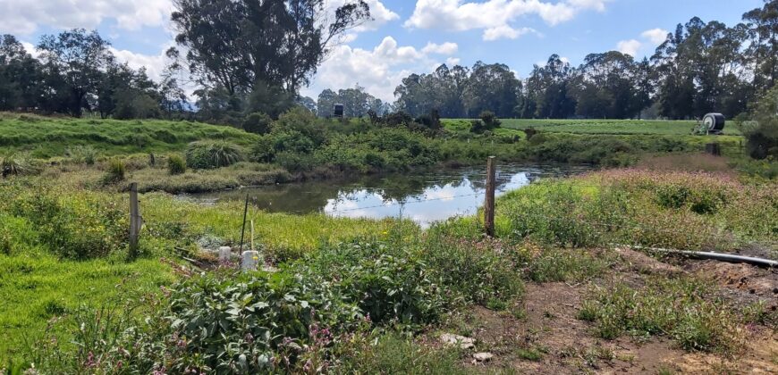 Facatativa (4 esquinas) finca de 49 fng- 8 lagos