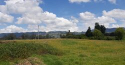 Facatativa (4 esquinas) finca de 49 fng- 8 lagos