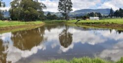 Facatativa (4 esquinas) finca de 49 fng- 8 lagos