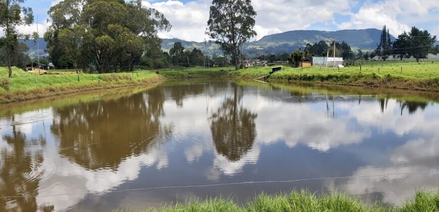 Facatativa (4 esquinas) finca de 49 fng- 8 lagos