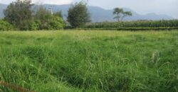 Tenjo – Finca con pesebreras – área lote 13.200 construcción 500 m2