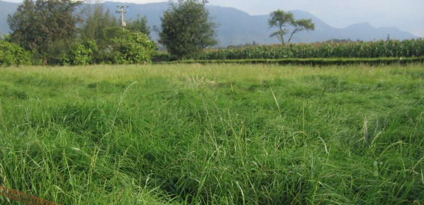 Tenjo – Finca con pesebreras – área lote 13.200 construcción 500 m2
