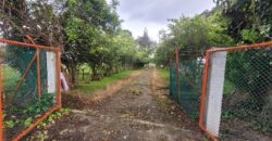 Funza, finca de 7.97 fng -51.000 m2- vereda la isla