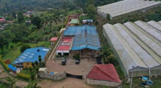 Lote  industrial 4.671 m2 con Bodega 1290 m2 en – Silvania cund – Vereda Subia